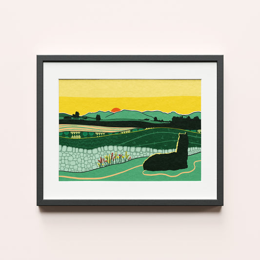 Alpaca Sunset - Unframed Print